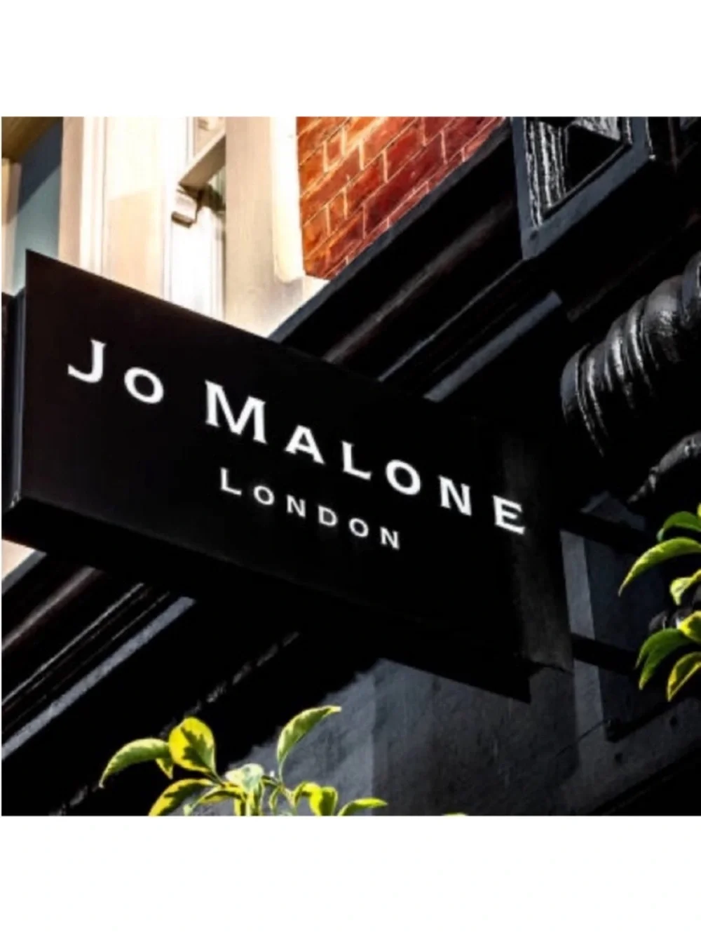 Jo Malone Wood Sage & Sea Salt Body and Hand Lotion